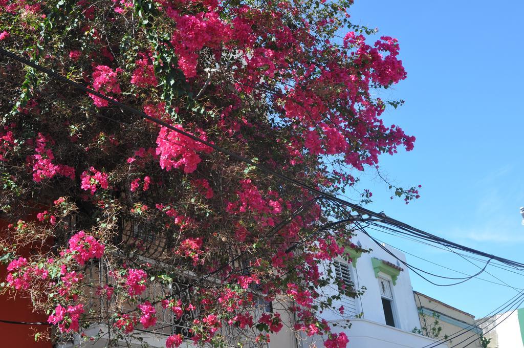 Dona Elvira Boutique Hotel Santo Domingo Bilik gambar